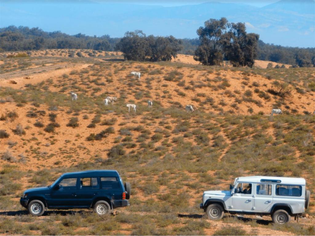 Camping Wassay Beach Sidi Ouassay エクステリア 写真